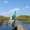 mit dem Einbaum ins Okavango